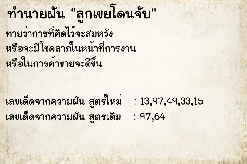 ทำนายฝัน ลูกเขยโดนจับ