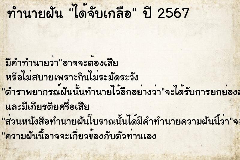 ทำนายฝัน ได้จับเกลือ  เลขนำโชค 