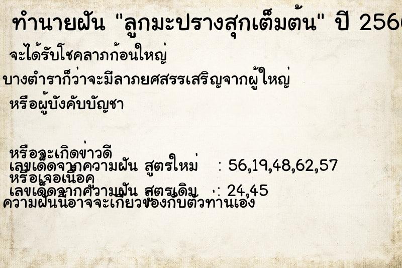 ทำนายฝัน ลูกมะปรางสุกเต็มต้น