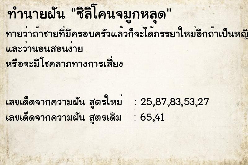 ทำนายฝัน ซิลิโคนจมูกหลุด  เลขนำโชค 