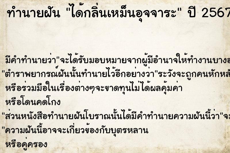 ทำนายฝัน ได้กลิ่นเหม็นอุจจาระ  เลขนำโชค 