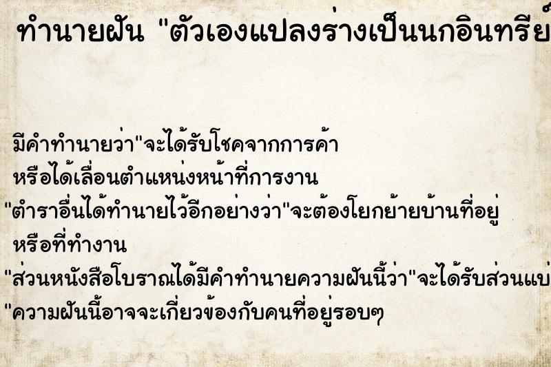 ทำนายฝัน ตัวเองแปลงร่างเป็นนกอินทรีย์ได้