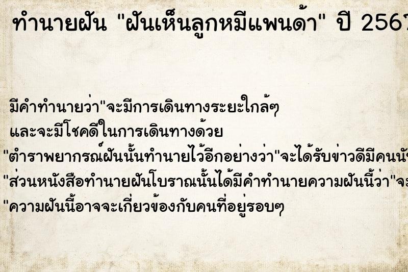 ทำนายฝัน ฝันเห็นลูกหมีแพนด้า