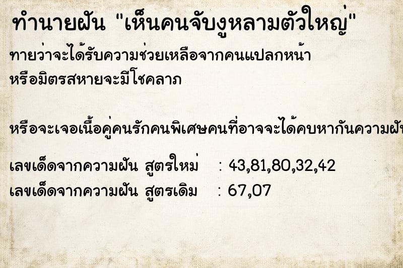 ทำนายฝัน เห็นคนจับงูหลามตัวใหญ่