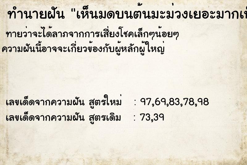 ทำนายฝัน เห็นมดบนต้นมะม่วงเยอะมากเห็นมดบนต้นมะม่วงเยอะ