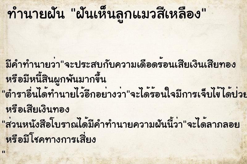 ทำนายฝัน ฝันเห็นลูกแมวสีเหลือง