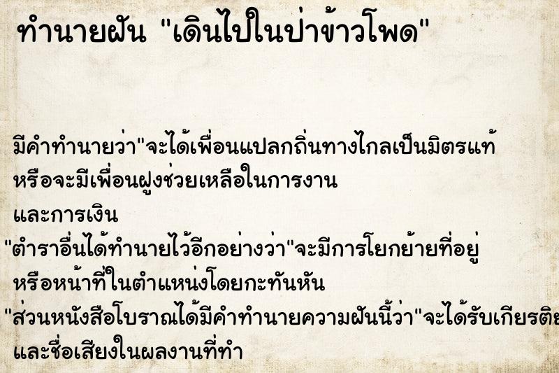 ทำนายฝัน เดินไปในป่าข้าวโพด