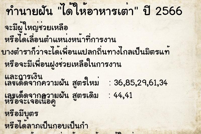 ทำนายฝัน ได้ให้อาหารเต่า