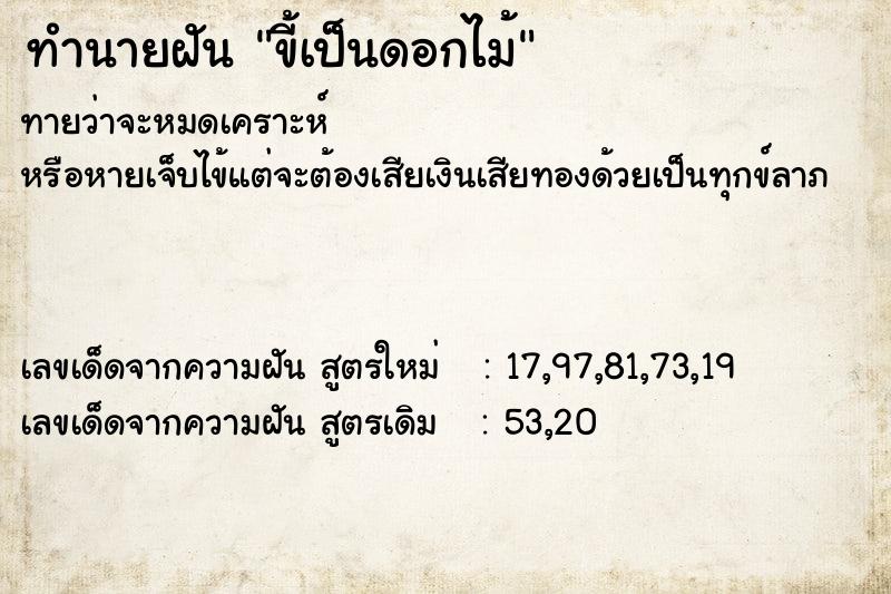 ทำนายฝัน ขี้เป็นดอกไม้