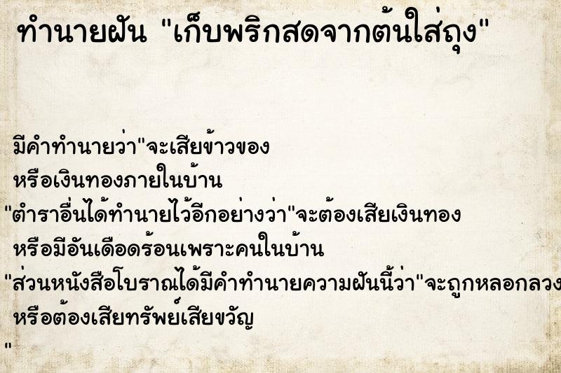 ทำนายฝัน เก็บพริกสดจากต้นใส่ถุง