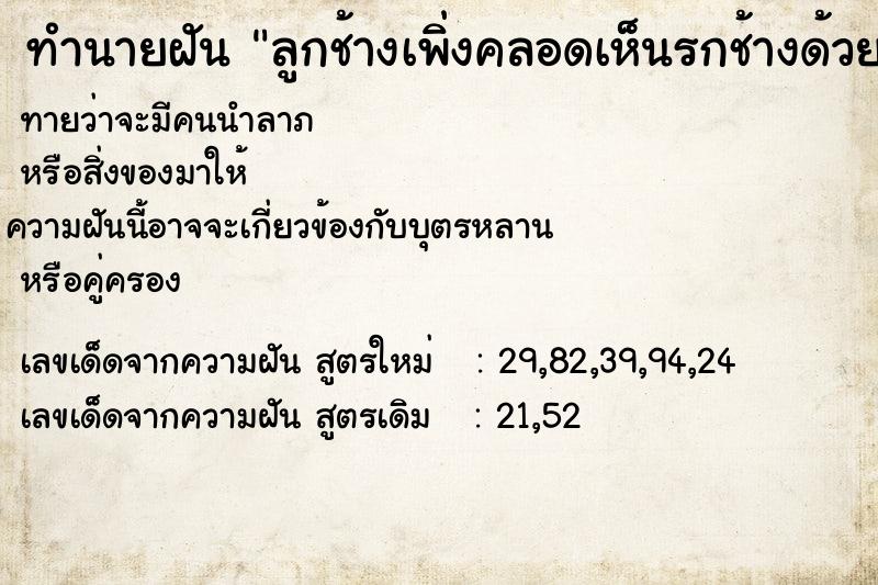 ทำนายฝัน ลูกช้างเพิ่งคลอดเห็นรกช้างด้วย