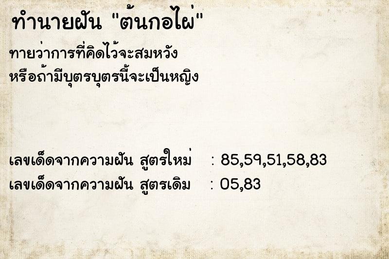 ทำนายฝัน ต้นกอไผ่  เลขนำโชค 