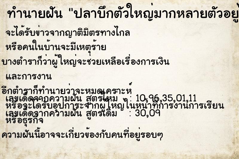 ทำนายฝัน ปลาบึกตัวใหญ่มากหลายตัวอยู่ในแม่น้ำสายเล็ก