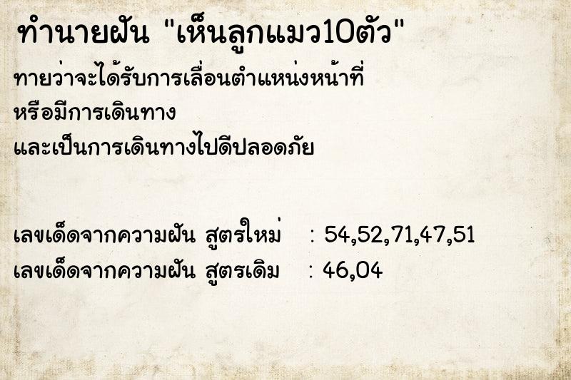 ทำนายฝัน เห็นลูกแมว10ตัว