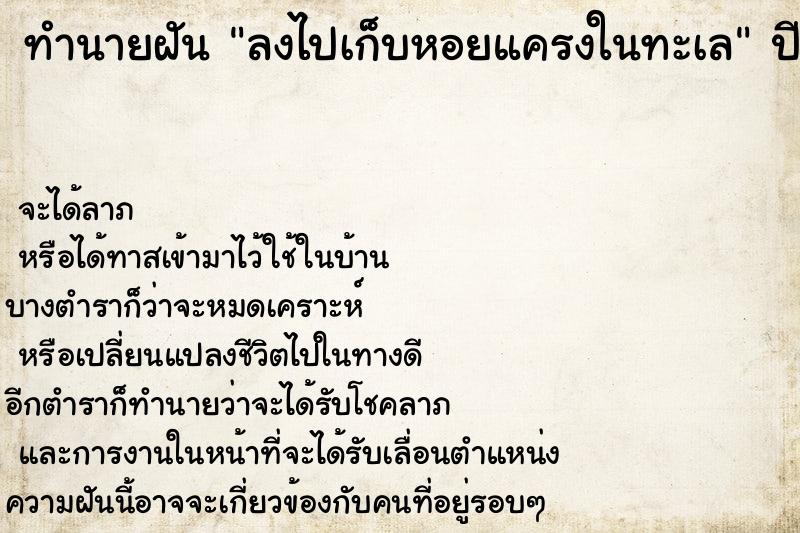 ทำนายฝัน ลงไปเก็บหอยแครงในทะเล  เลขนำโชค 