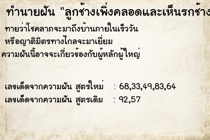 ทำนายฝัน ลูกช้างเพิ่งคลอดและเห็นรกช้างด้วย