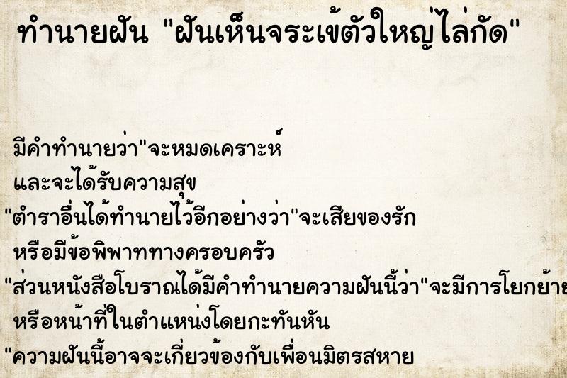 ทำนายฝัน ฝันเห็นจระเข้ตัวใหญ่ไล่กัด