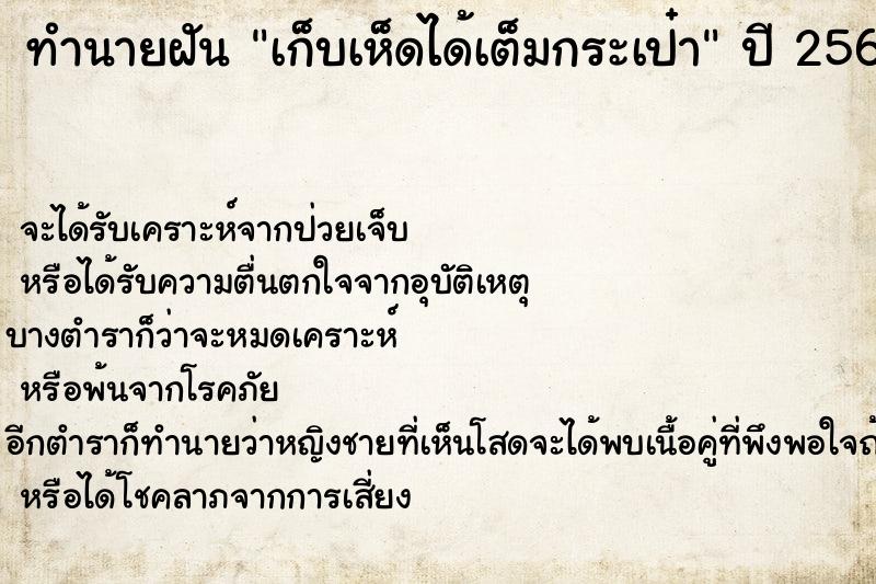 ทำนายฝัน เก็บเห็ดได้เต็มกระเป๋า