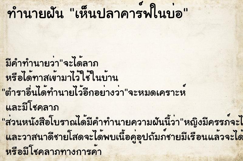 ทำนายฝัน เห็นปลาคาร์ฟในบ่อ  เลขนำโชค 