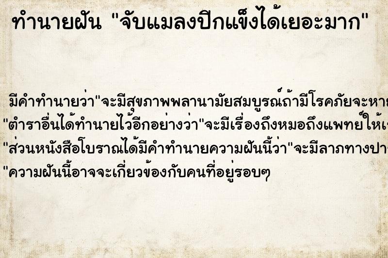 ทำนายฝัน จับแมลงปีกแข็งได้เยอะมาก