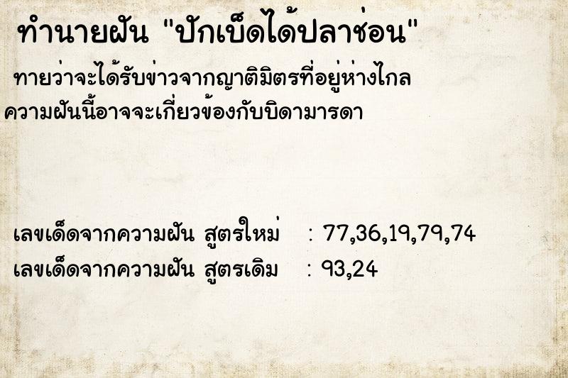 ทำนายฝัน ปักเบ็ดได้ปลาช่อน