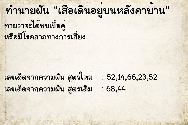 ทำนายฝัน เสือเดินอยู่บนหลังคาบ้าน