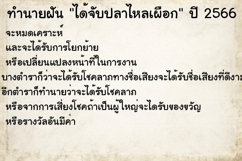 ทำนายฝัน ได้จับปลาไหลเผือก