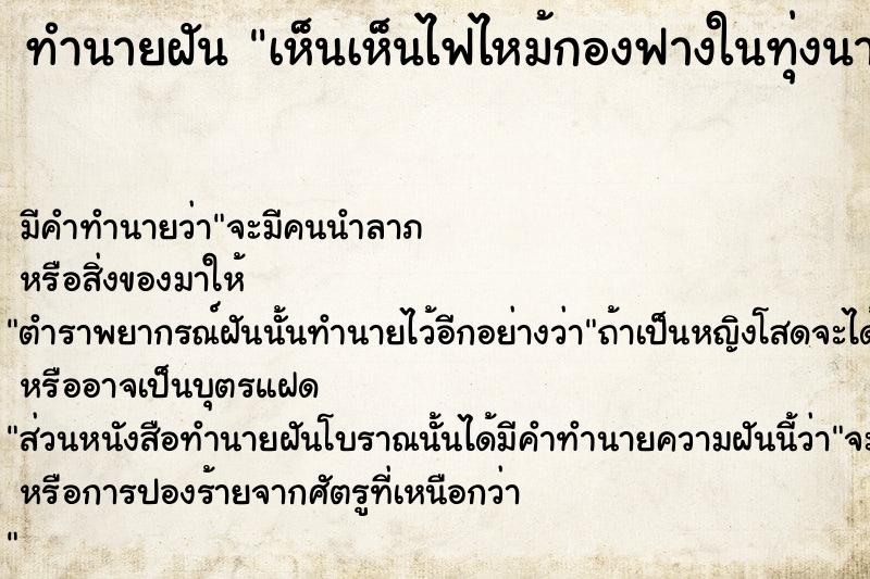 ทำนายฝัน เห็นเห็นไฟไหม้กองฟางในทุ่งนา