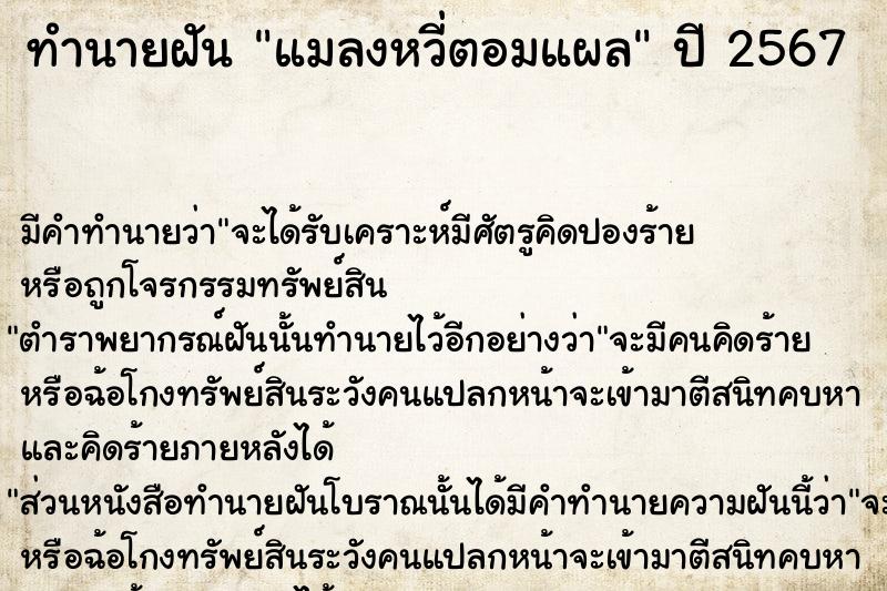 ทำนายฝัน แมลงหวี่ตอมแผล  เลขนำโชค 