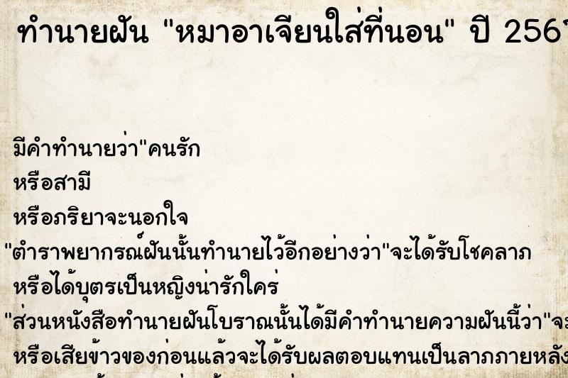 ทำนายฝัน หมาอาเจียนใส่ที่นอน