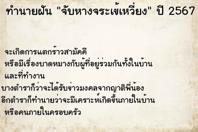 ทำนายฝัน จับหางจระเข้เหวี่ยง