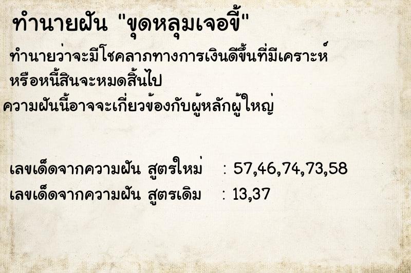 ทำนายฝัน ขุดหลุมเจอขี้