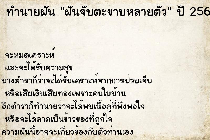 ทำนายฝัน ฝันจับตะขาบหลายตัว