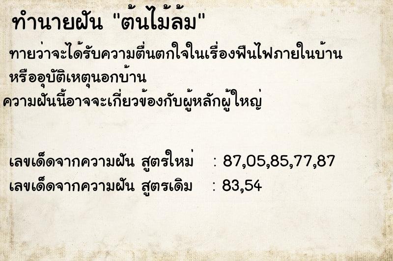 ทำนายฝัน ต้นไม้ล้ม  เลขนำโชค 