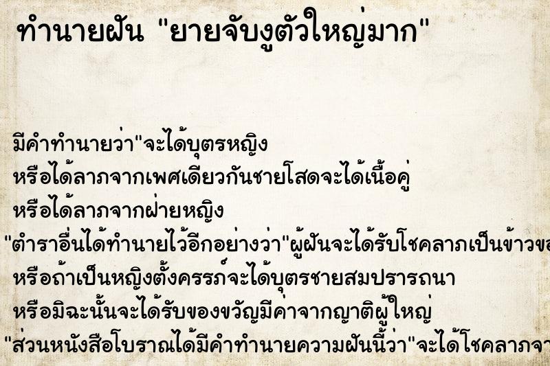 ทำนายฝัน ยายจับงูตัวใหญ่มาก