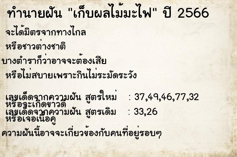 ทำนายฝัน เก็บผลไม้มะไฟ