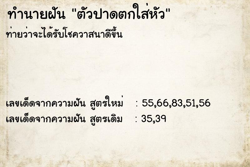 ทำนายฝัน ตัวปาดตกใส่หัว