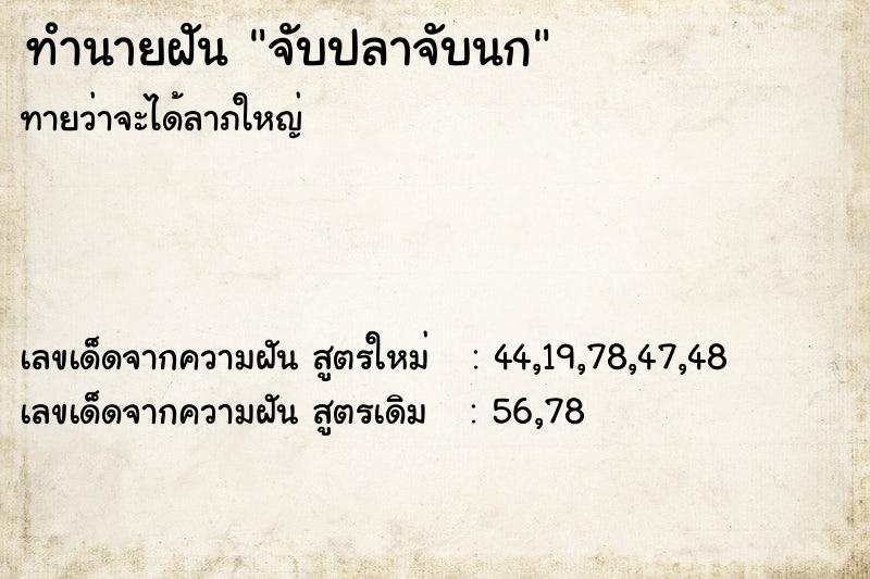 ทำนายฝัน จับปลาจับนก