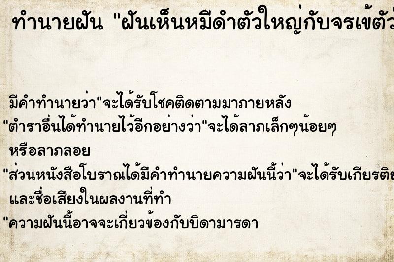 ทำนายฝัน ฝันเห็นหมีดำตัวใหญ่กับจรเข้ตัวใหญ่