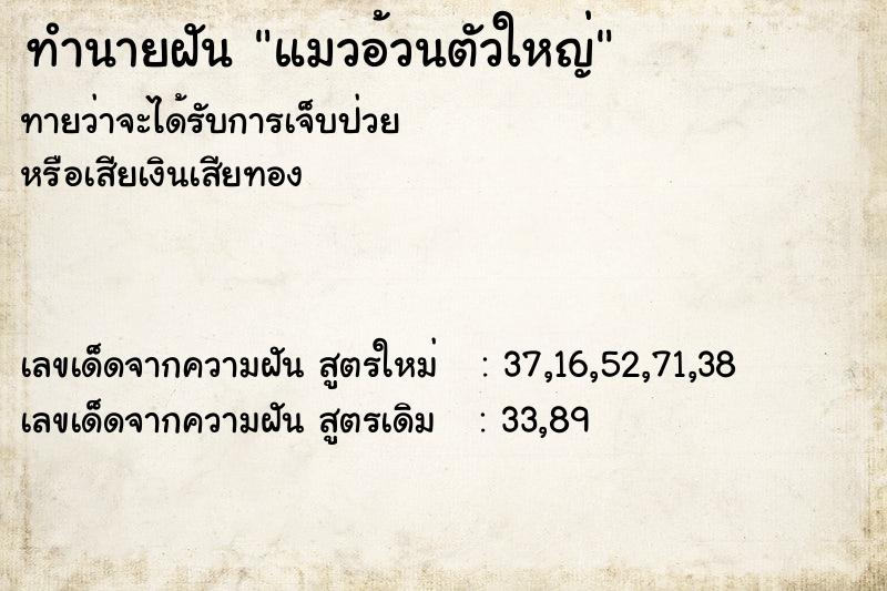 ทำนายฝัน แมวอ้วนตัวใหญ่