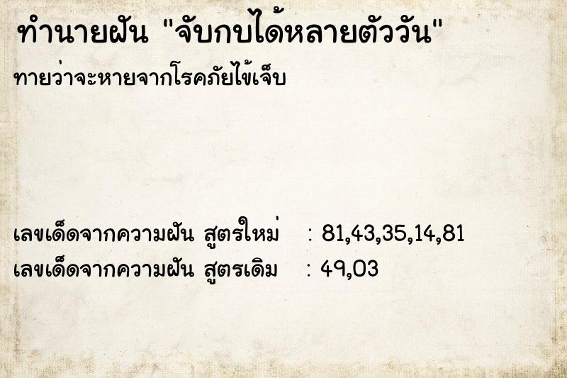 ทำนายฝัน จับกบได้หลายตัววัน