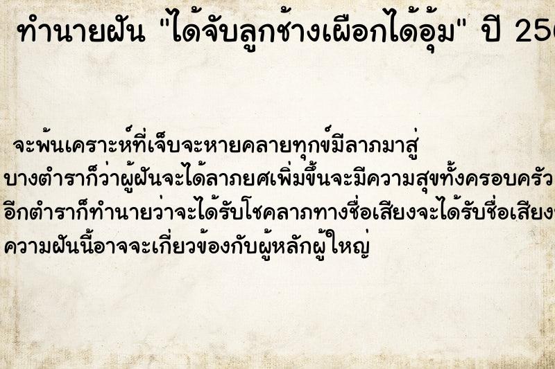 ทำนายฝัน ได้จับลูกช้างเผือกได้อุ้ม