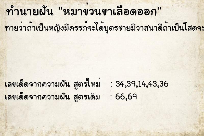 ทำนายฝัน หมาข่วนขาเลือดออก