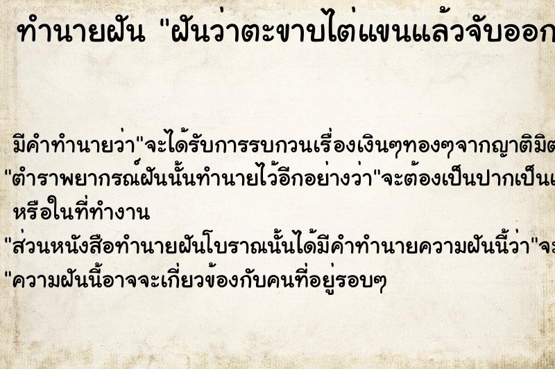 ทำนายฝัน ฝันว่าตะขาบไต่แขนแล้วจับออก  เลขนำโชค 