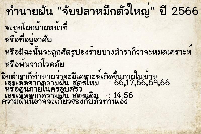 ทำนายฝัน จับปลาหมึกตัวใหญ่  เลขนำโชค 