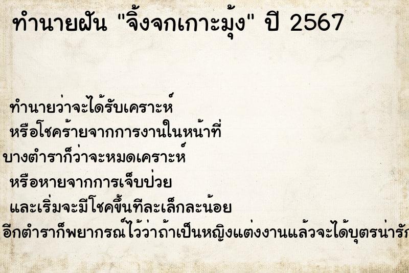 ทำนายฝัน จิ้งจกเกาะมุ้ง