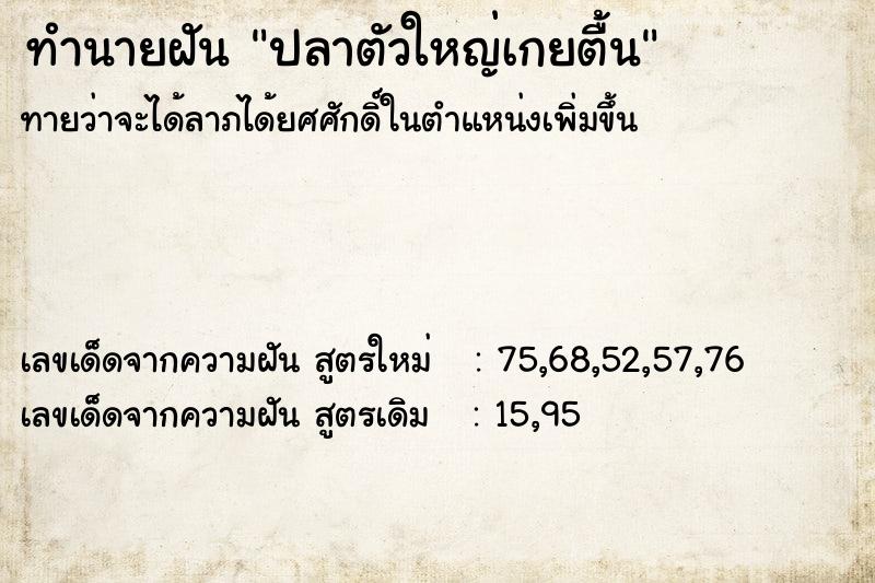 ทำนายฝัน ปลาตัวใหญ่เกยตื้น