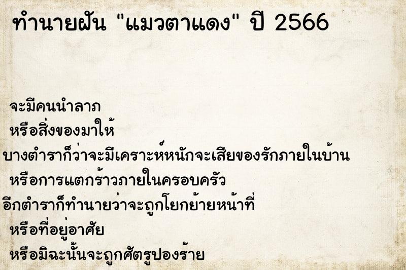 ทำนายฝัน แมวตาแดง