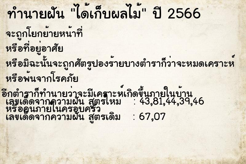 ทำนายฝัน ได้เก็บผลไม้