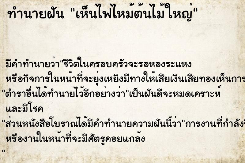 ทำนายฝัน เห็นไฟไหม้ต้นไม้ใหญ่